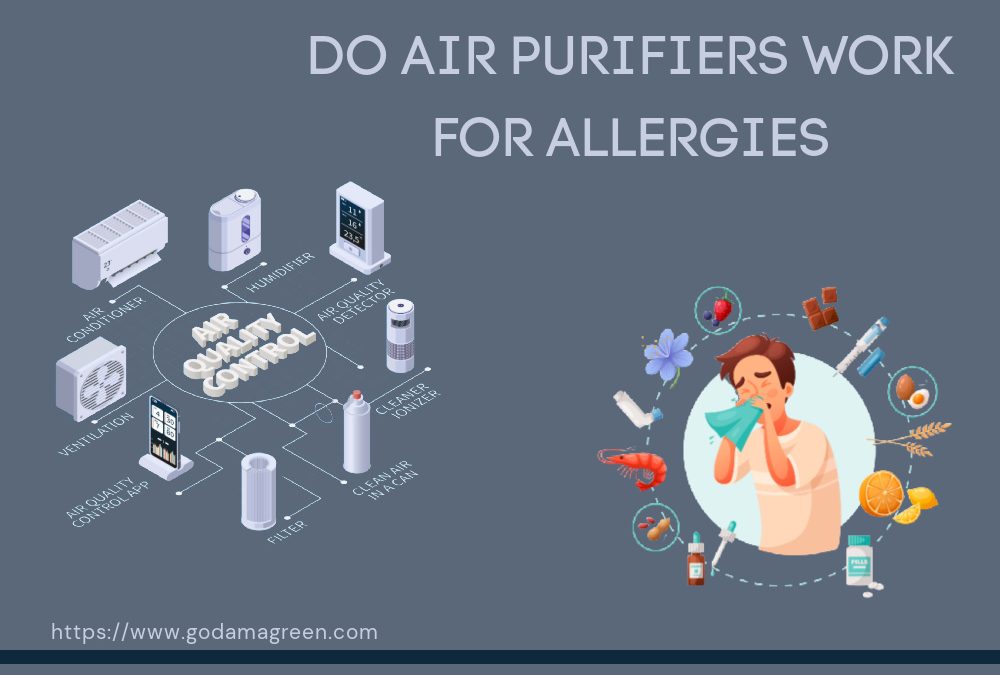 Do Air Purifiers Work For Allergies
